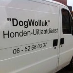 stickers auto | Honden uitlaatdienst
