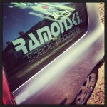 stickers auto | Ramonski, binnenkant raam