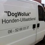 stickers auto | Honden uitlaatdienst